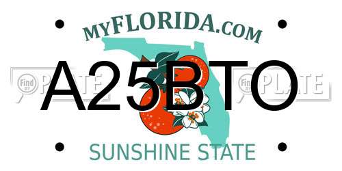 A25BTO Florida License Plate