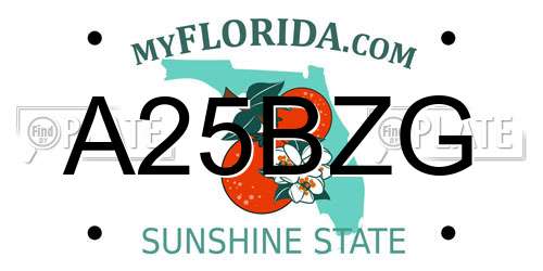 A25BZG Florida License Plate
