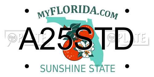 A25STD Florida License Plate