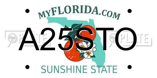 A25STO Florida License Plate