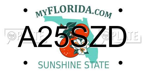 A25SZD Florida License Plate