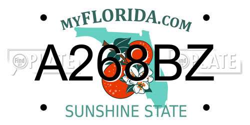 A268BZ Florida License Plate