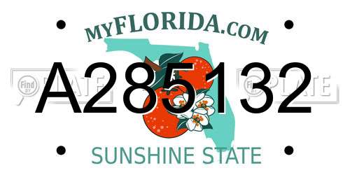 A285132 Florida License Plate