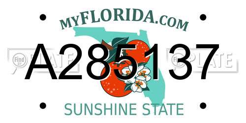 A285137 Florida License Plate