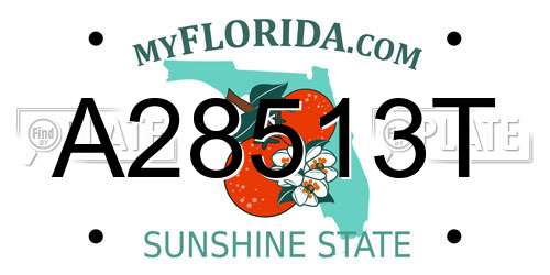 A28513T Florida License Plate
