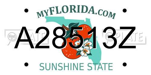 A28513Z Florida License Plate
