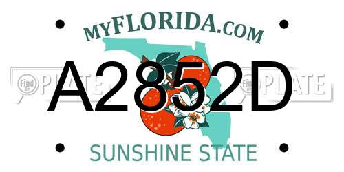 A2852D Florida License Plate