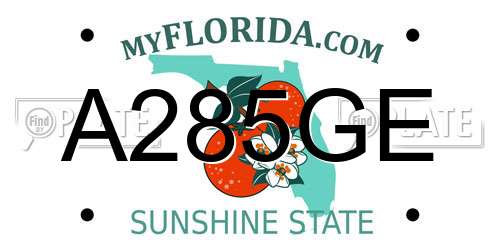 A285GE Florida License Plate