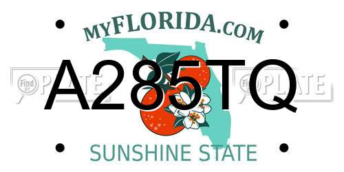 A285TQ Florida License Plate