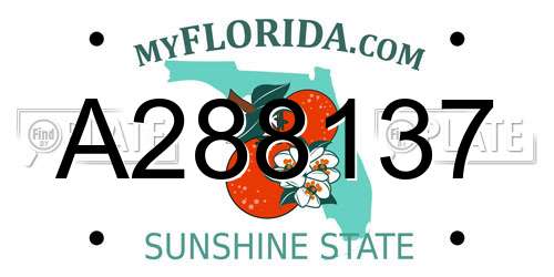 A288137 Florida License Plate