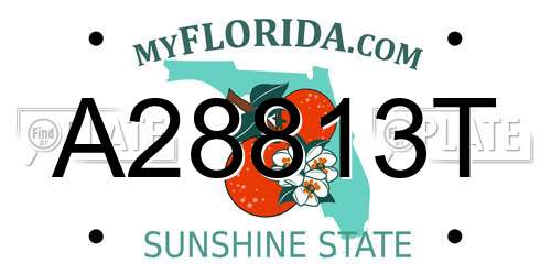 A28813T Florida License Plate