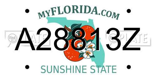 A28813Z Florida License Plate