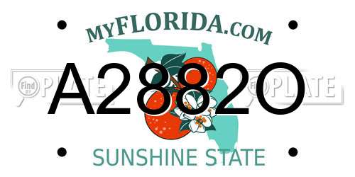 A2882O Florida License Plate