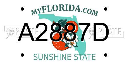 A2887D Florida License Plate