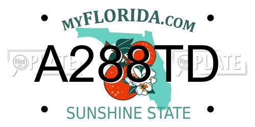 A288TD Florida License Plate