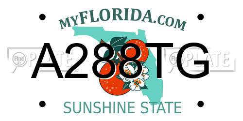 A288TG Florida License Plate