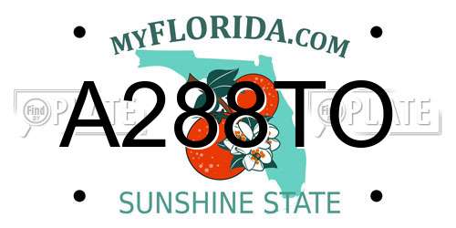 A288TO Florida License Plate