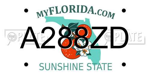 A288ZD Florida License Plate