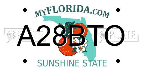 A28BTO Florida License Plate