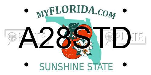 A28STD Florida License Plate