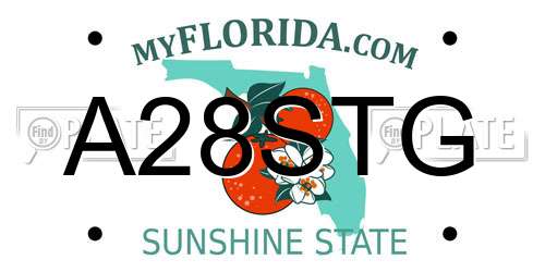 A28STG Florida License Plate