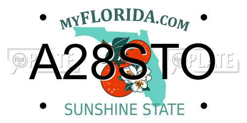 A28STO Florida License Plate