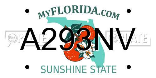 A293NV Florida License Plate