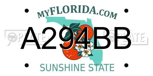 A294BB Florida License Plate