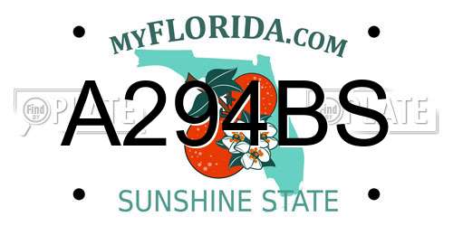 A294BS Florida License Plate