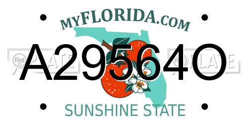 A29564O Florida License Plate