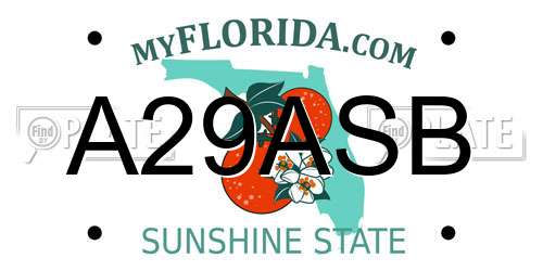 A29ASB Florida License Plate