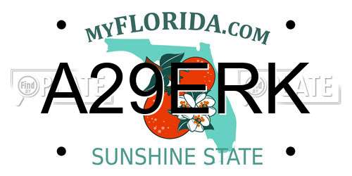 A29ERK Florida License Plate