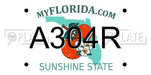 A304R Florida License Plate