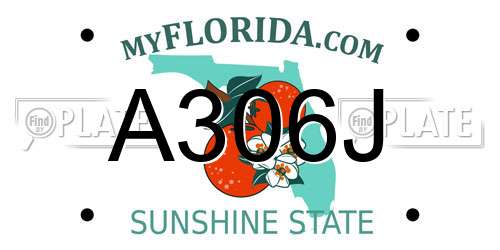 A306J Florida License Plate
