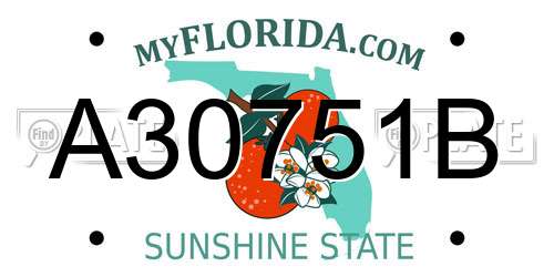 A30751B Florida License Plate