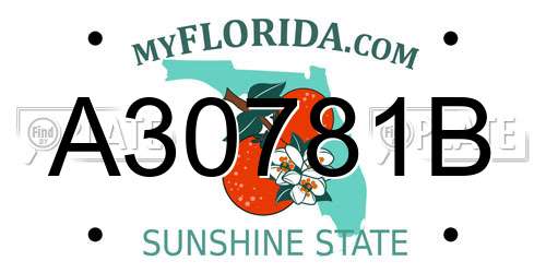 A30781B Florida License Plate