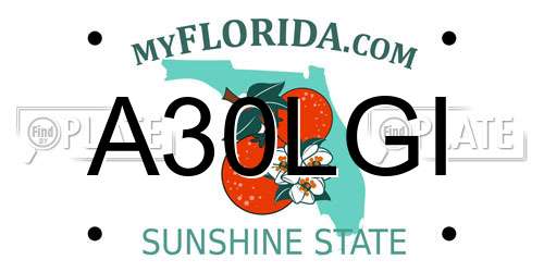 A30LGI Florida License Plate