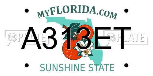 A313ET Florida License Plate