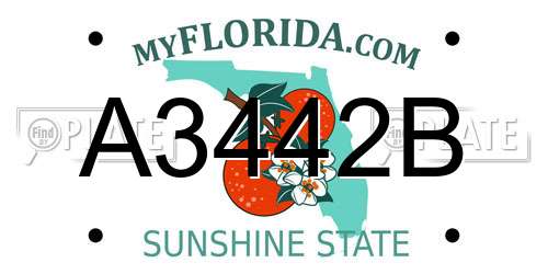 A3442B Florida License Plate