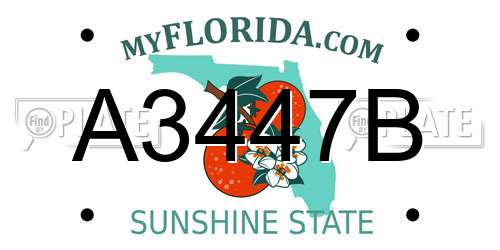 A3447B Florida License Plate