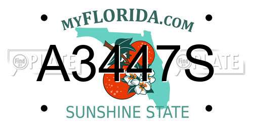 A3447S Florida License Plate