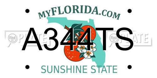 A344TS Florida License Plate