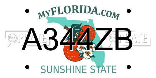 A344ZB Florida License Plate