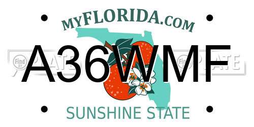 A36WMF Florida License Plate