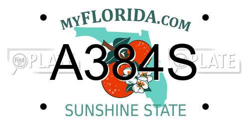 A384S Florida License Plate