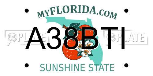 A38BTI Florida License Plate