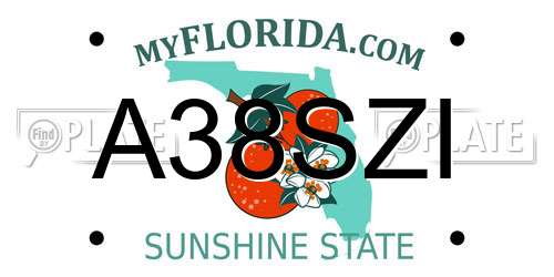 A38SZI Florida License Plate