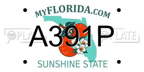 A391P Florida License Plate