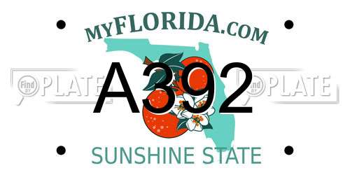 A392 Florida License Plate
