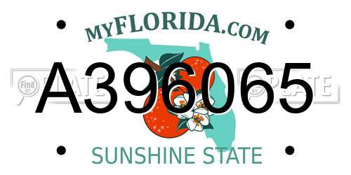 A396065 Florida License Plate